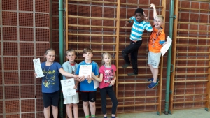 Bild Schulmeisterschaft Ringen