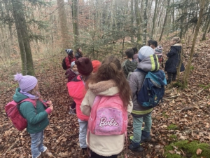 image 20241217 194731 406